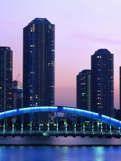 Eitai_Bridge_Tokyo_Japan.jpg